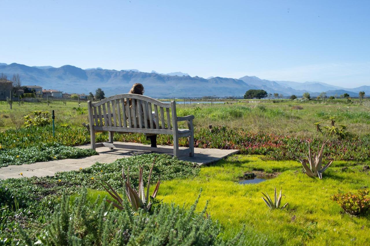 Sante Wellness Retreat & Spa Paarl Bagian luar foto